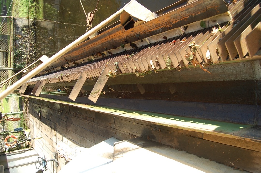 degrilleur_goulotte_DSC_0291.JPG